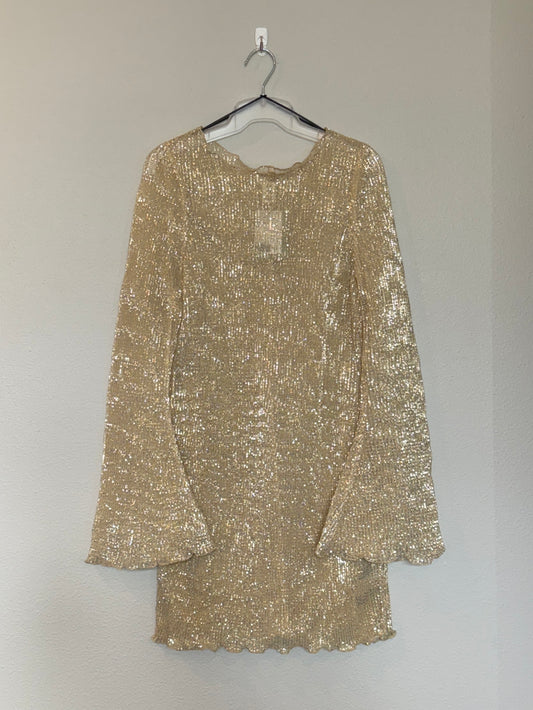 H&M Sequined Sheer Dress